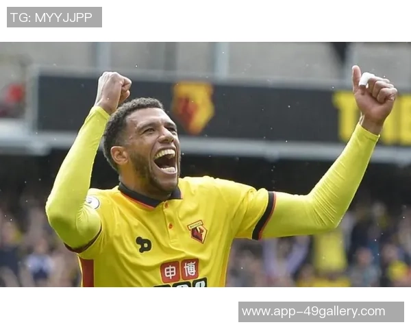 埃弗顿对阵沃特福德直播精彩回放及赛后分析全攻略